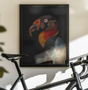 King vultureFramed ArtSarcoramphus papa Framed Art Ferdinando Valverde | Home or Office Art