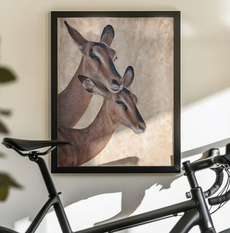 Do not worry, I'm here Framed Art Mathilde Guillemot | Home or Office Art