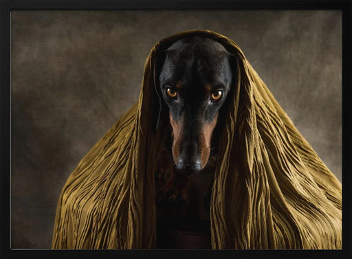 Golden Eyes Framed Art Heike Willers | Home or Office Art