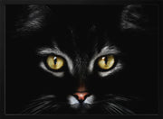 Untitled Framed Art Antonio Grambone | Home or Office Art