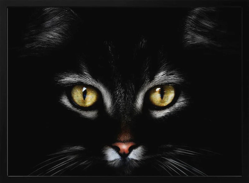 Untitled Framed Art Antonio Grambone | Home or Office Art