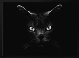 Untitled Framed Art Antonio Grambone | Home or Office Art