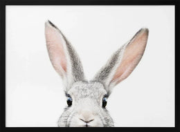 Peeking Bunny Framed Art Kathrin Pienaar | Home or Office Art