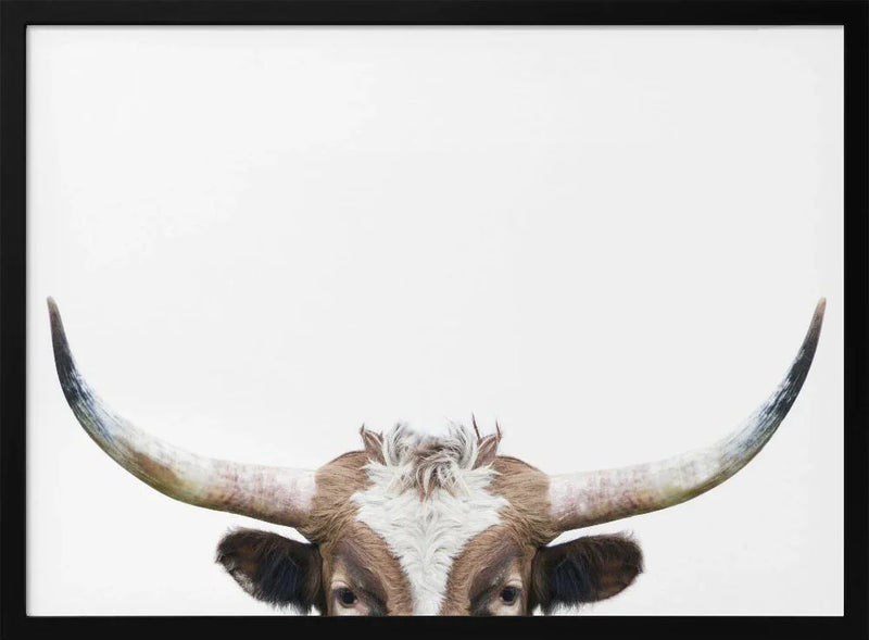 Peeking Longhorn Cow Framed Art Kathrin Pienaar | Home or Office Art