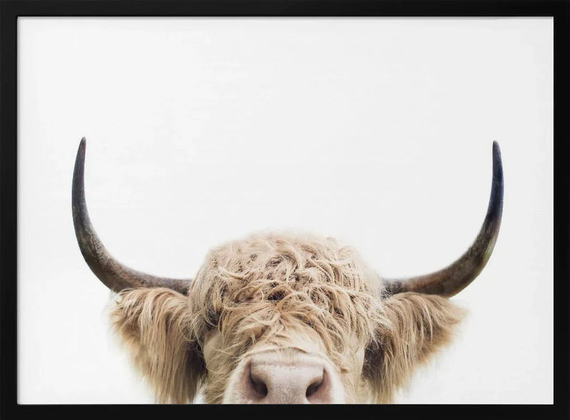 Peeking Cow Framed Art Kathrin Pienaar | Home or Office Art