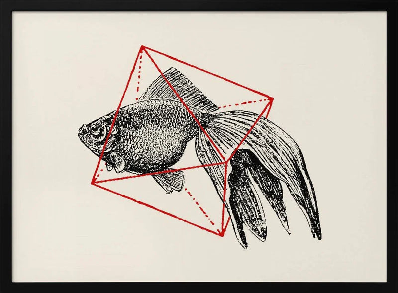 Fish In Geometrics Nº3 - Florent Bodart Framed Art | Home or Office Art
