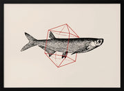 Fish In Geometrics Nº2 - Florent Bodart Framed Art | Home or Office Art
