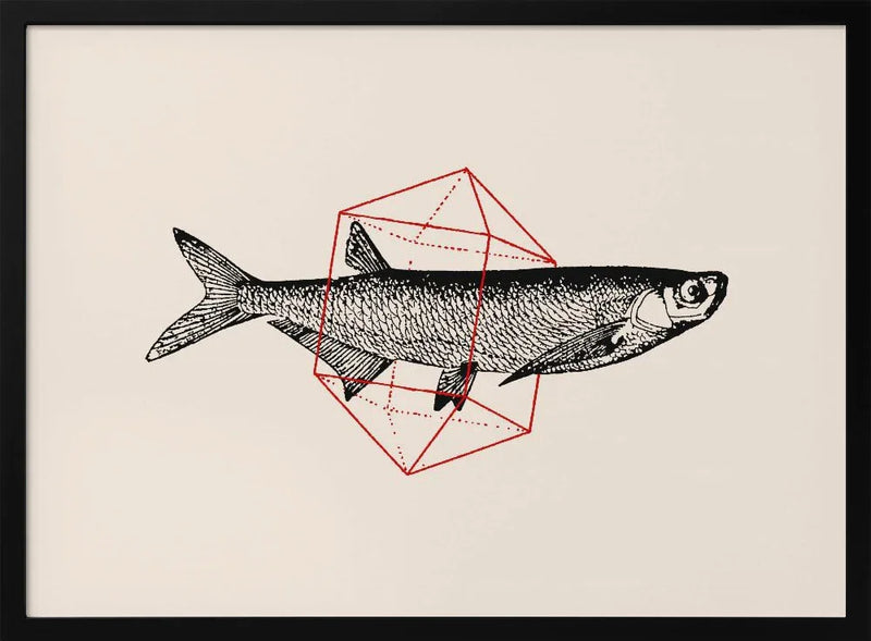 Fish In Geometrics Nº2 - Florent Bodart Framed Art | Home or Office Art