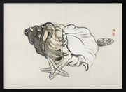 Star Fish and Conch - Kono Bairei Framed Art | Home or Office Art