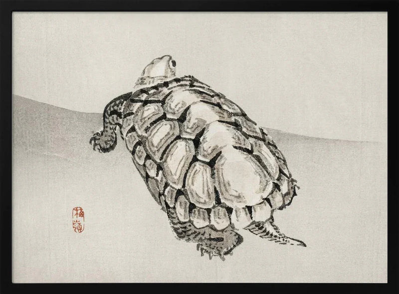 Turtle - Kono Bairei Framed Art | Home or Office Art