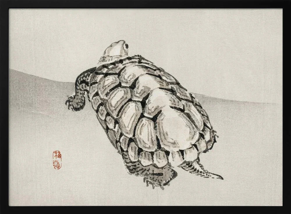 Stunning Turtle Art Collection: Unique & Captivating Creations for Your Space
