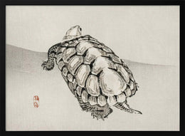 Turtle - Kono Bairei Framed Art | Home or Office Art