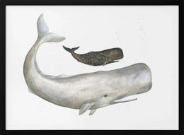 Gentle Ocean Giants - Isabelle Brent Framed Art | Home or Office Art