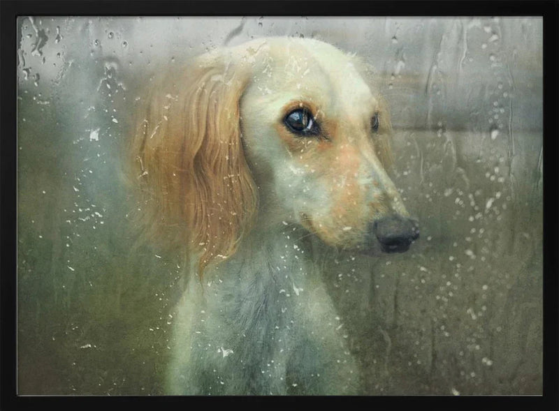 That autumn... Framed Art Svetlana MelikFramed ArtNubarova | Home or Office Art