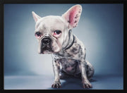 Big Head Project Framed Art Moshe Nachumovich | Home or Office Art