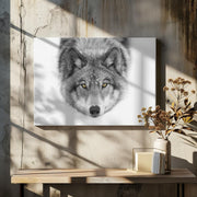 Yellow eyes Framed Art Timber Wolf Framed Art Jim Cumming | Home or Office Art