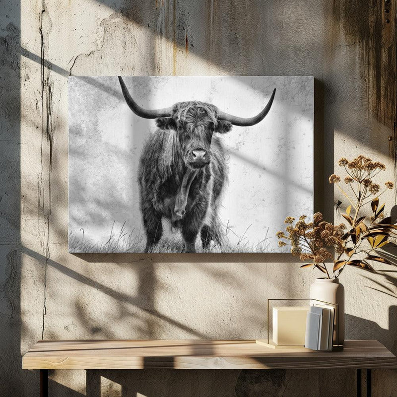 La force Framed Art Stéphane Pecqueux | Home or Office Art