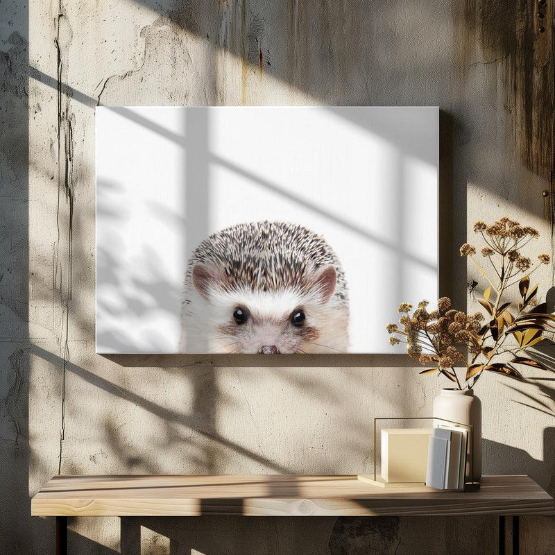 Peeking Hedgehog Framed Art Kathrin Pienaar | Home or Office Art