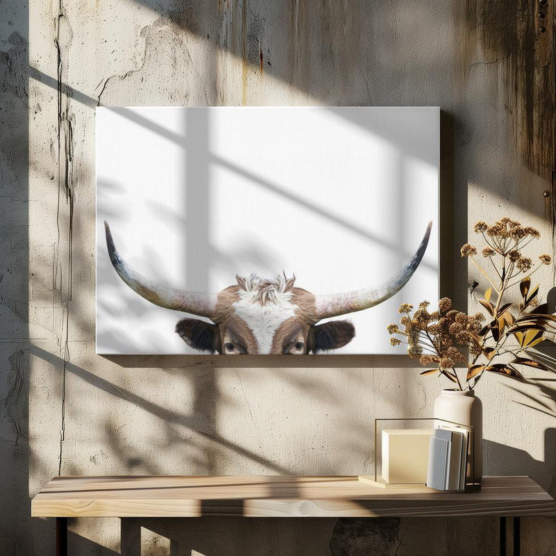 Peeking Longhorn Cow Framed Art Kathrin Pienaar | Home or Office Art
