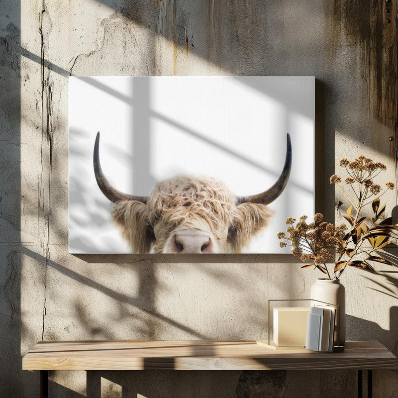 Peeking Cow Framed Art Kathrin Pienaar | Home or Office Art