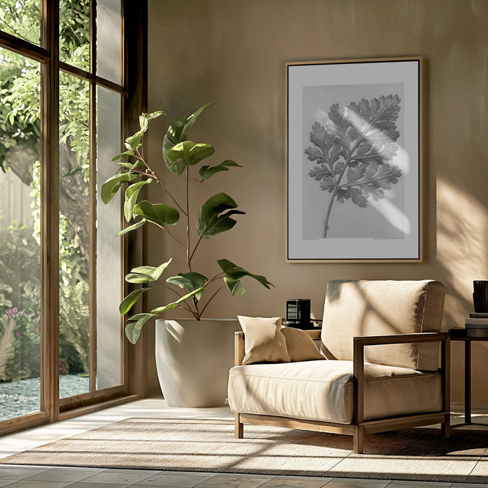 Chrysanthemum parthenium Framed Art Modern Wall Decor