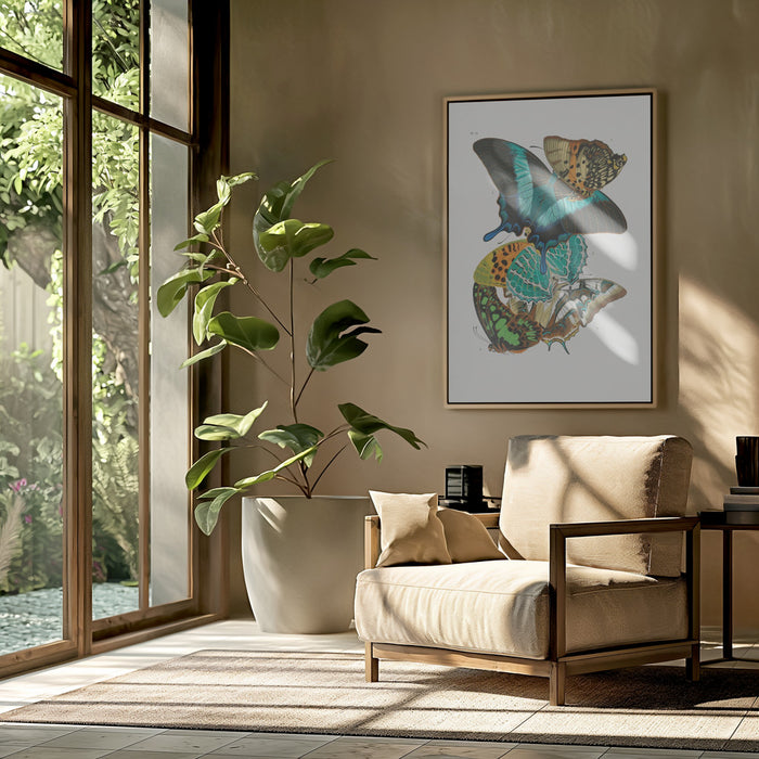 Butterflies 5 Framed Art Modern Wall Decor