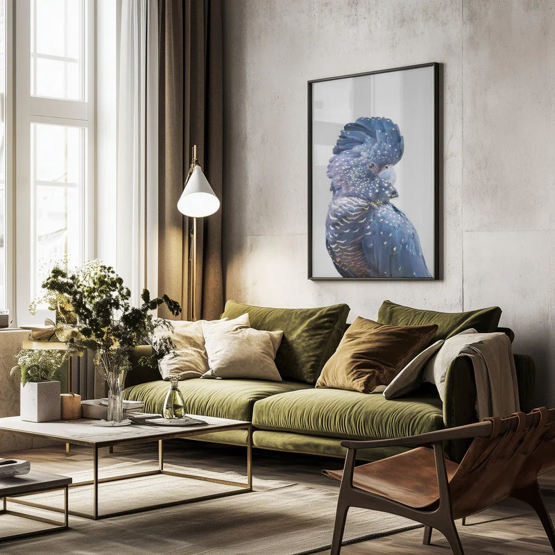 Black Cockatoo Framed Art Kathrin Pienaar | Home or Office Art
