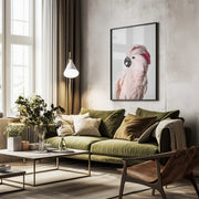 Pink Cockatoo Framed Art Kathrin Pienaar | Home or Office Art