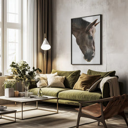 Kalimazoo Framed Art Shot by Clint | Home or Office Art