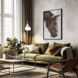 Russian Framed Art Shot by Clint | Home or Office Art