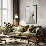 Peekaboo Cockatoo Framed Art Lola Peacock | Home or Office Art