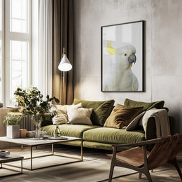 Peekaboo Cockatoo Framed Art Lola Peacock | Home or Office Art