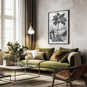 Vintage Palm Tree Drawing I - Les Palmiers Histoire Iconographique Framed Art | Home or Office Art