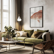 Red Snapper - Sherman F. Denton Framed Art | Home or Office Art