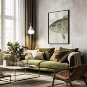 Rock Bass Crop - Sherman F. Denton Framed Art | Home or Office Art