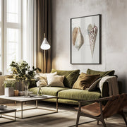 Two Mollusks Crop II - Charles Dessalines D Orbigny Framed Art | Home or Office Art