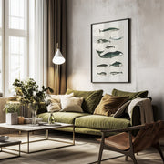 Vintage Whale Poster - Oliver Goldsmith Framed Art | Home or Office Art