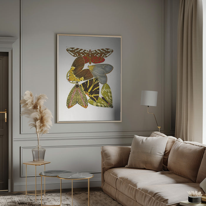 Butterflies 6 Framed Art Modern Wall Decor