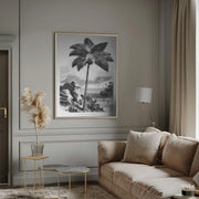 Vintage Palm Tree Drawing I - Les Palmiers Histoire Iconographique Framed Art | Home or Office Art