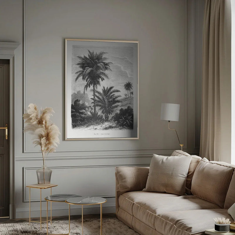 Vintage Palm Tree Drawing V - Les Palmiers Histoire Iconographique Framed Art | Home or Office Art