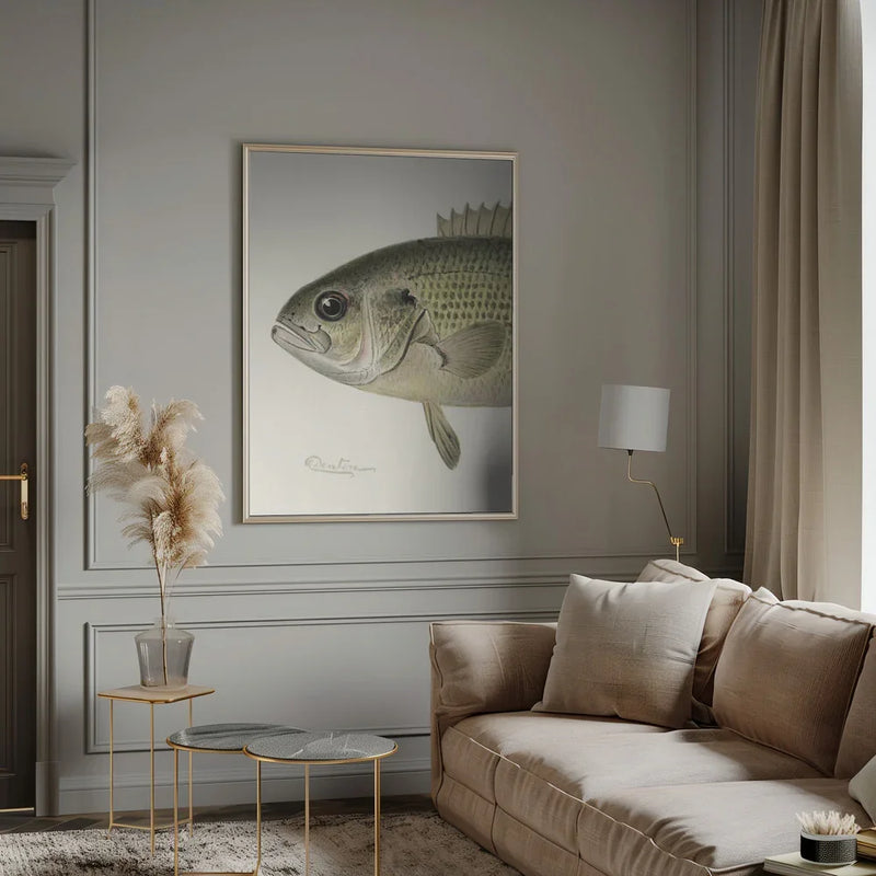Rock Bass Crop - Sherman F. Denton Framed Art | Home or Office Art