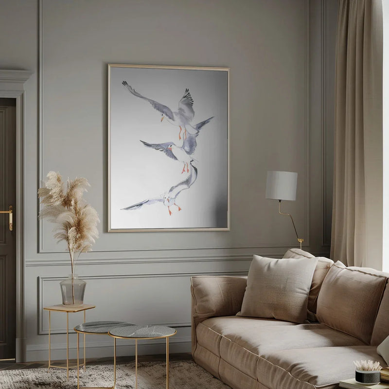 Seagull Flight - Isabelle Brent Framed Art | Home or Office Art