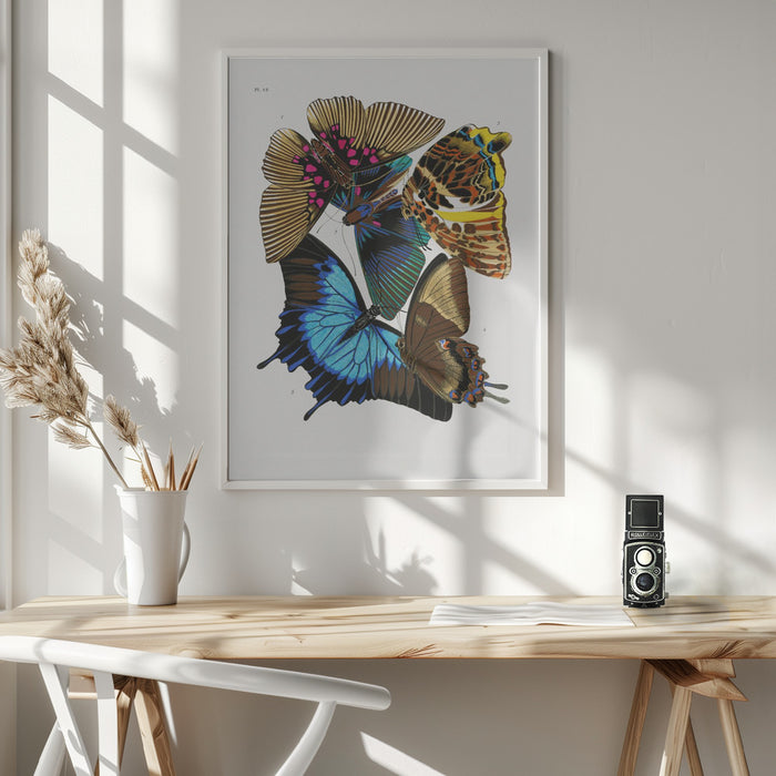 Butterflies 4 Framed Art Modern Wall Decor