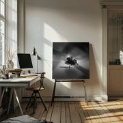 Back Light by Rony Tjayana Square Canvas Print Art for Modern Home Decor. Decorate your office or living room with canvas artwork