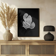 White Love Framed Art Andi Halil | Home or Office Art