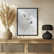 Portrait of an Arctic Wolf Framed Art Jim Cumming | Home or Office Art
