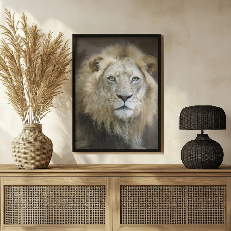 Portrait of a Young Male Lion Framed Art Linda D Lester | Home or Office Art