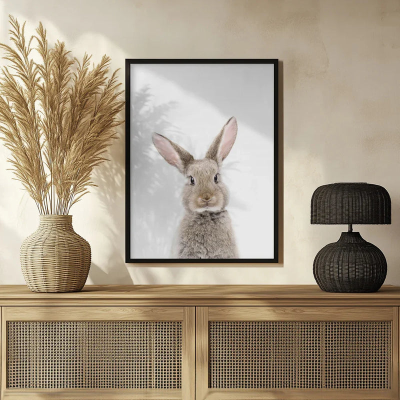 Baby Rabbit Framed Art Kathrin Pienaar | Home or Office Art