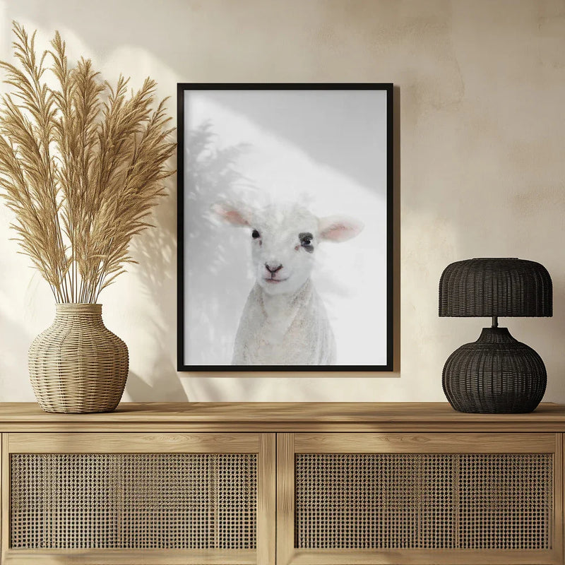 Baby Lamb Framed Art Kathrin Pienaar | Home or Office Art