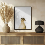 Baby Duck Framed Art Kathrin Pienaar | Home or Office Art